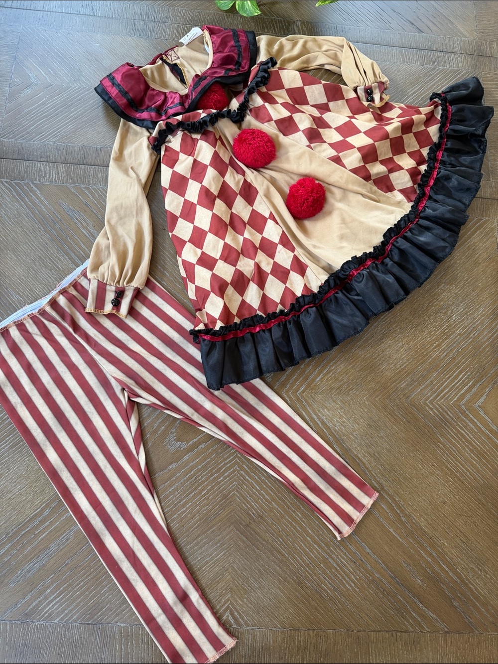 Kids Burgundy and Cream Harlequin Clown Costume Set 4T